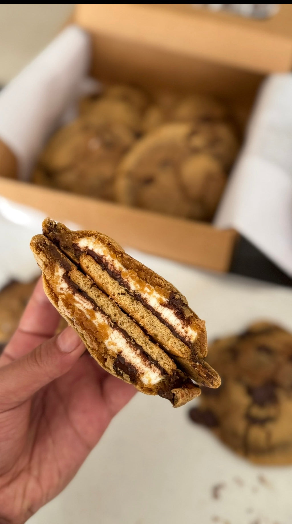 S'mores Cookies